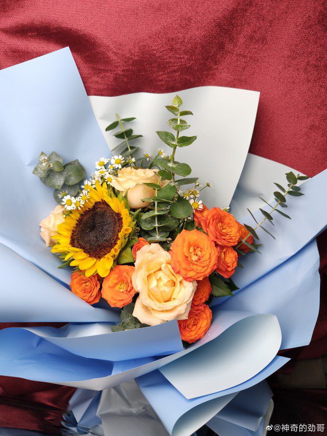 First 200 MP camera sample from Moto Edge 30 Ultra emerges
-Techweu