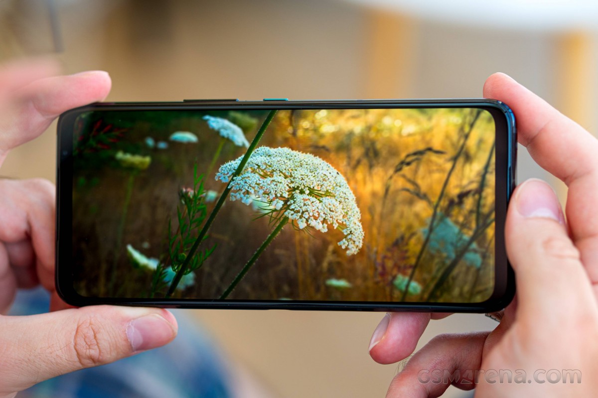 Winners and Losers: Asus